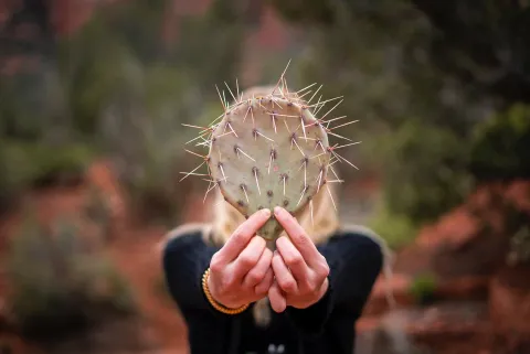 Cactus Faced Person - Prickly Person